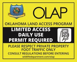 OLAP Limited Access