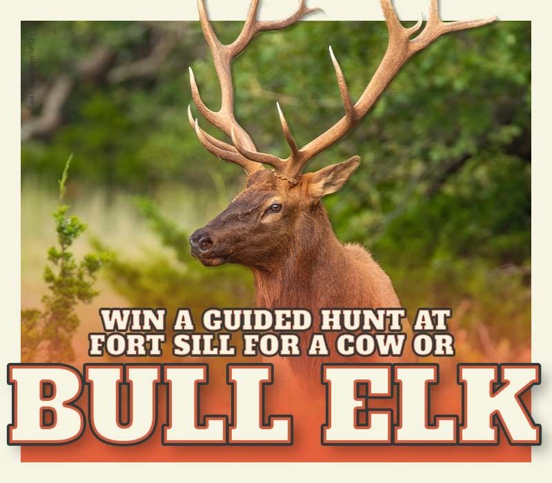 Win this Incredible January Elk Hunt at Fort Sill