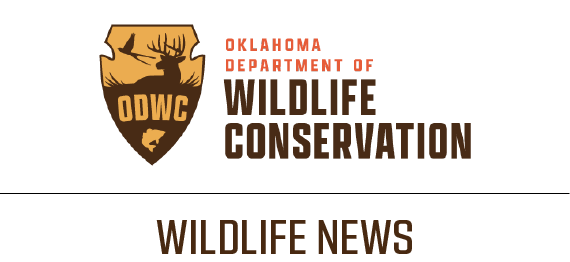 Wildlife News Banner