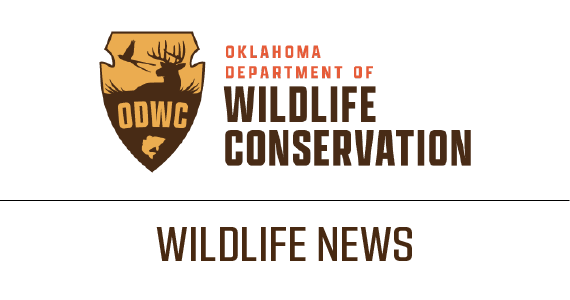 Wildlife News Banner