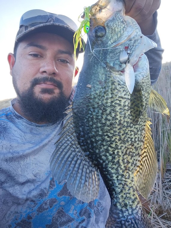 Miguel Olivarez Crappie