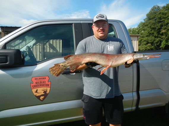 State Record Shortnose Gar