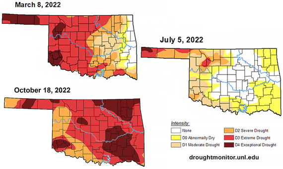 figure 13 quail drought