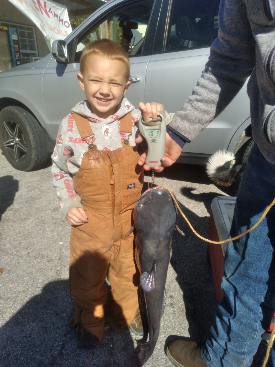 chase hoover blue cat