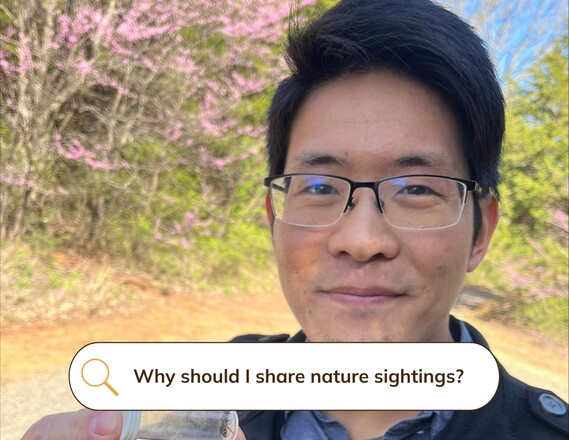 Dr. James Hung with Cellophane Bee_Why Should I Share Nature Sightings