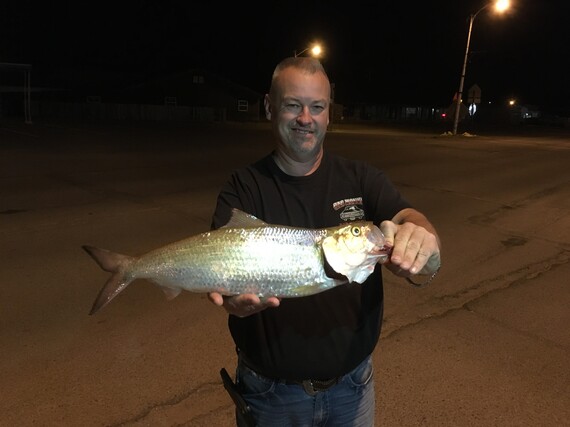 State Record Skipjack