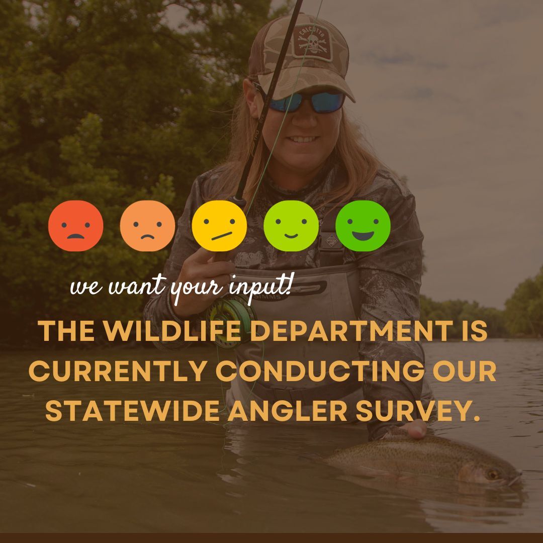 angler survey