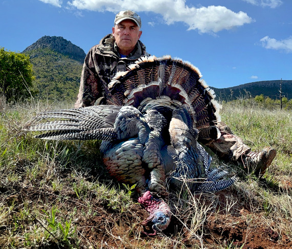 Wade Free named interim director of ODWC