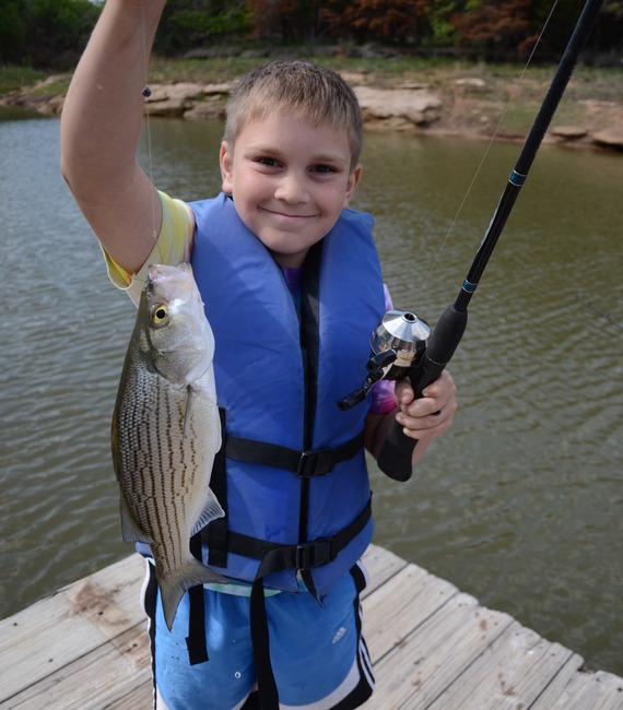 Hybrid Striped Bass_Daniel Griffith