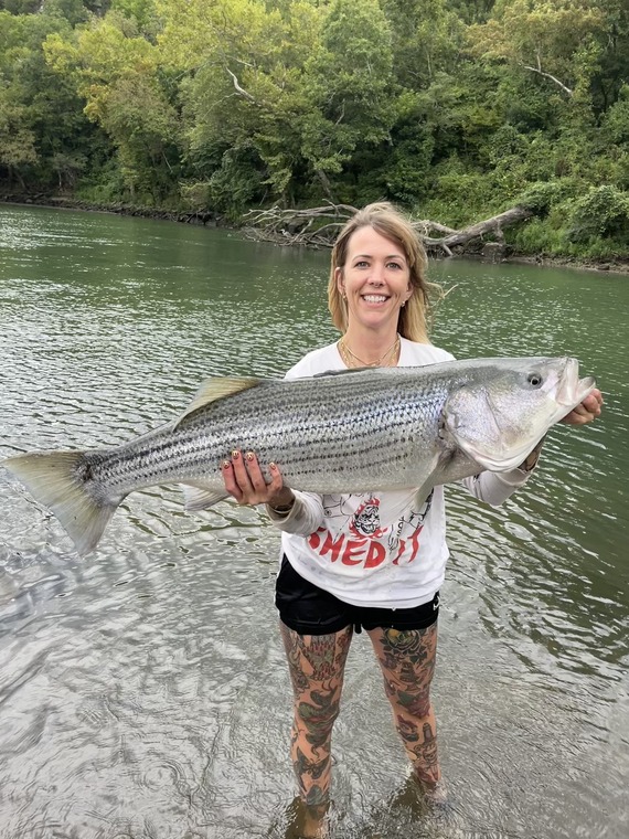 Christy Rhynes Lower Illinois Striped Bass The Dock