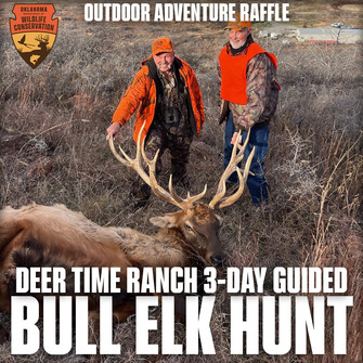 Outdoor Oklahoma Adventure bull elk 2024