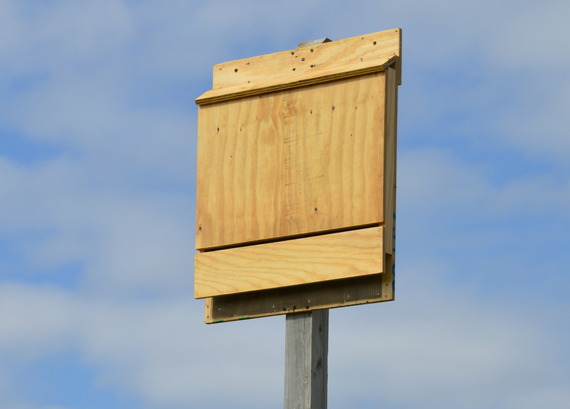 Bat House