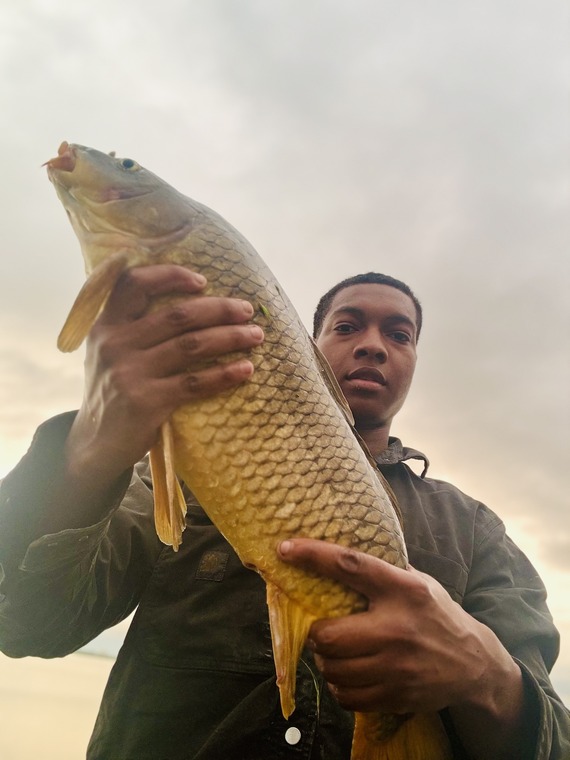 Elijah R Carp The Dock