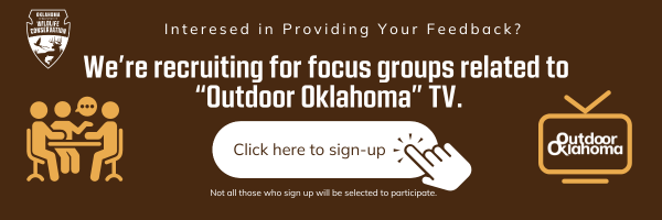 Interested in providing your feedback? We're recruiting for focus groups related to Outdoor Oklahoma TV. Click here to sign-up.