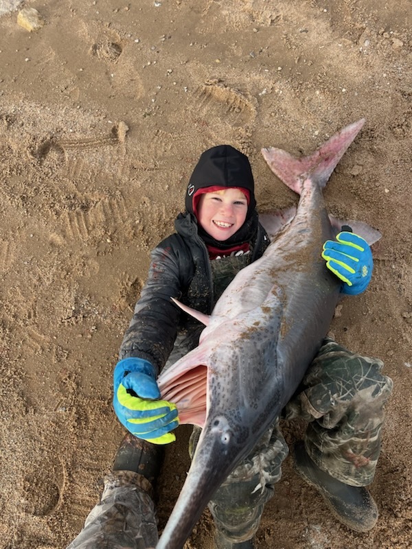 Laken Snapp The Dock Paddlefish