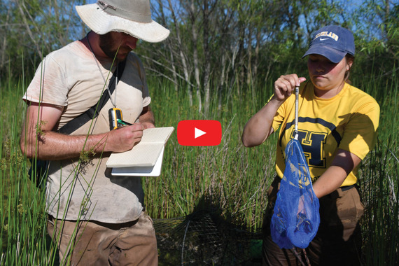 Chicken Turtle_Resesarch Reel