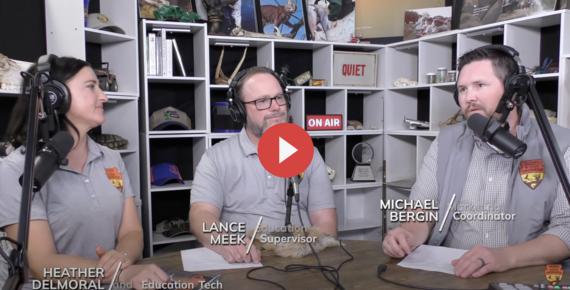 Controlled Hunts conversation