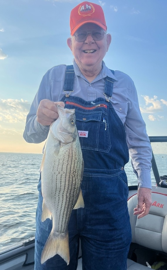 Dee Evans The Dock Hybrid