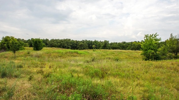 deer habitat
