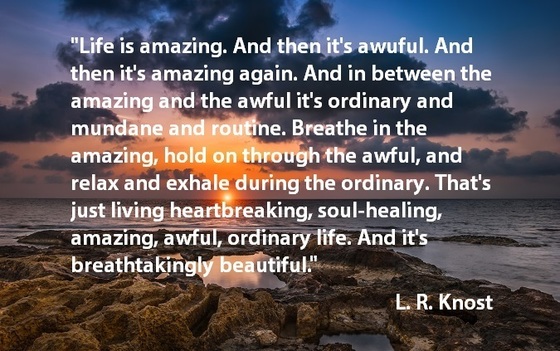 L.R. Knost "Life is amazing" quote