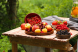Photo of fresh fruits