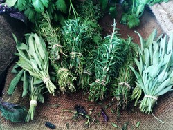 Herbal Gardening Class