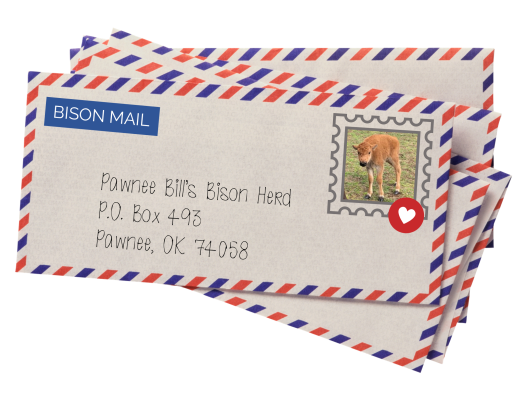 an airmail letter written to the Pawnee Bill Bison Herd