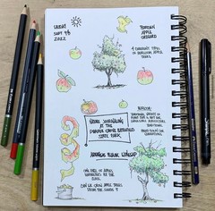 A nature journal with sketches and notes about apple trees, with colored pencils nearby