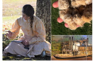 A collage of 3 photos. A girl writing in a journal in the shade of a tree, a hand holding a clump of wool, and a model of the Steamboat Heroine