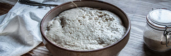 A ceramic bowl holding a batch of dough, proofing and rising before baking.