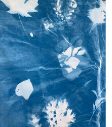 A cyanotype image. A blue background and ghostly white images of leaves, plants, and flowers placed randomly in the composition