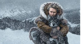 A movie poster from the Disney production "Togo"  with a photo of actor Willem Dafoe dressed in a heavy parka and a sled dog with snow falling