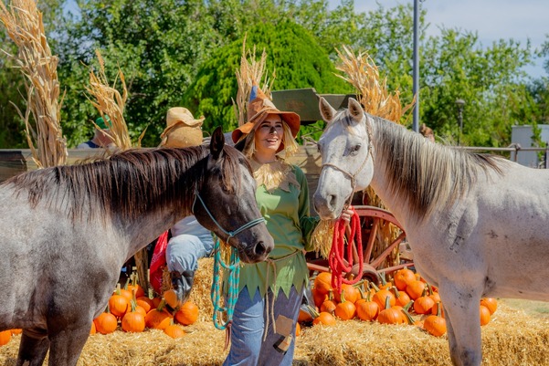 A Woman dressed as a scarecrow, standing between two horses. Historic buildings, hay bales, and pumpkins are seen behind the subjects.