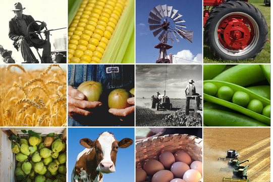 A collage of farm images of farmers, corn, tractors, cow, tomatoes, wheat fields.