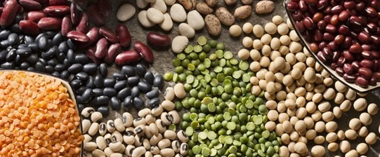 a colorful array of seeds on a table includings beans and other dry seed groups