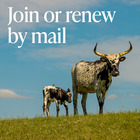 A button with an image of a longhorn mother and calf. The words say Join or Renew by mail.