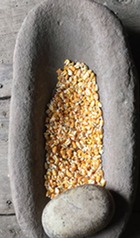 Corn grinding tools. A stone and grinding vessel with corn seed ready to be ground.