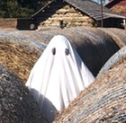 A person dressed as a ghost stands among round hay bales