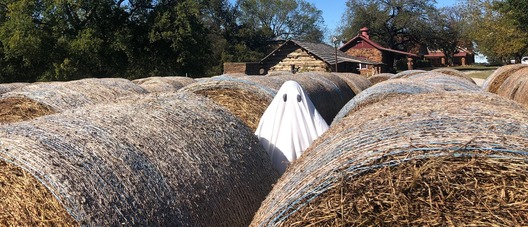 A person dressed as a ghost stands among round hay bales