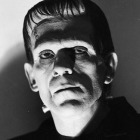 A still of the character Frankenstein, taken from the movie "Frankestein" of 1931. A heavy shadow falls behind the figure