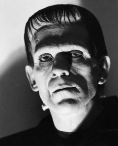 A still of the character Frankenstein, taken from the movie "Frankestein" of 1931. A heavy shadow falls behind the figure