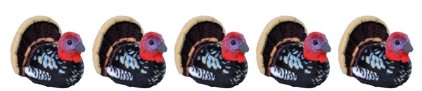 Stuffed turkeys, store merchandise, 5 in a row