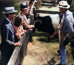 Will Rogers stands in a pen with farm animals and straw, a movie still from the movie State Fair (1933).