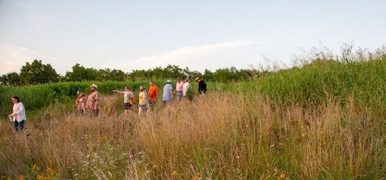 A photo of a group of people talking a walk at the Spiro Mounds Archaeological Site. Wildflowers are growing in the foreground