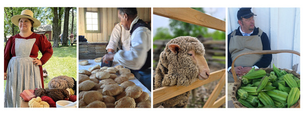 Staff dressed in period clothing by a table of yearn, with a basket of Okra, cpoking bread in the Fort Gibson ovens, and a lamb at the fence