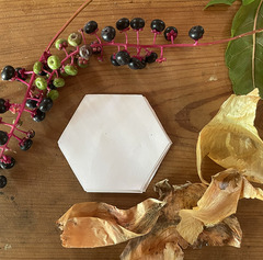 Natural Dyeing ingredients, including berries and paper lay on a table