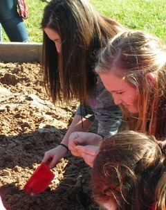 Children digging in dirt with shovels