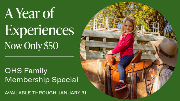 A young girl smiles as she sits on the saddle on a longhorn.
