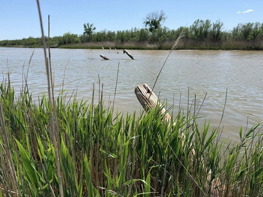 Bridge posts, weathered by time, lean in the direction of the water flow of the Cimarron River. The photo was taken at the 21 Crossing and Ranch