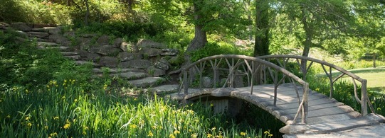 A small arched bridge at Woodward Park.